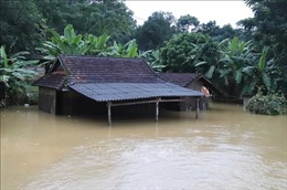 Nghệ An: Huyện miền núi Quỳ Châu thiệt hại nặng do lũ ống, lũ quét