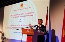 Việt Nam và Hà Lan coi trọng tăng cường hợp tác toàn diện