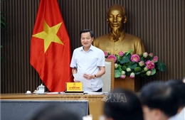 Phó Thủ tướng Lê Minh Khái: Xử lý dứt điểm dự án Nhà máy Bột giấy Phương Nam