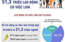 Quý III/2023: 51,3 triệu lao động có việc làm