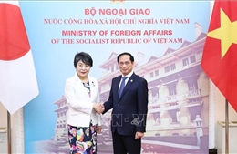 Tiếp tục thúc đẩy làm sâu sắc quan hệ Đối tác chiến lược sâu rộng Việt Nam - Nhật Bản