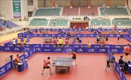 Nhiều tay vợt hàng đầu Việt Nam tham dự Giải bóng bàn Cúp Hoa Lư mở rộng 