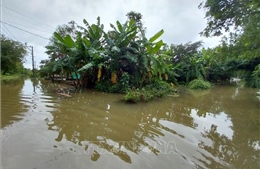 Thừa Thiên - Huế: Di dời các hộ dân vùng nguy hiểm do mưa lớn