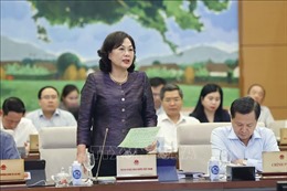 Thống đốc Nguyễn Thị Hồng: Xử lý ngân hàng yếu kém sẽ rất khó, cần thời gian