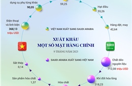 Thương mại song phương Việt Nam - Saudi Arabia