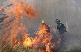 Cháy rừng hoành hành tại Bolivia