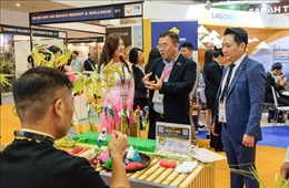 Việt Nam tham dự Hội chợ Du lịch Quốc tế châu Á tại Singapore