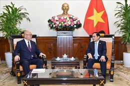 Bộ trưởng Ngoại giao Bùi Thanh Sơn tiếp Cố vấn Liên minh nghị sỹ hữu nghị Nhật - Việt