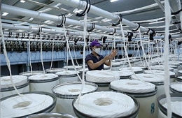 Indonesia khởi xướng điều tra áp dụng biện pháp tự vệ với sợi bông nhập khẩu