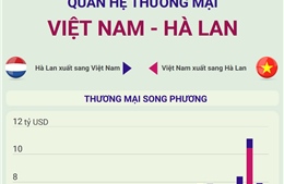 Quan hệ thương mại Việt Nam - Hà Lan