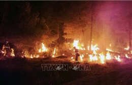 Hàng trăm người phải sơ tán do cháy rừng ở Tây Ban Nha