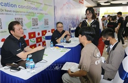 Thu hút sinh viên Việt Nam thử sức làm việc với doanh nghiệp Nhật Bản