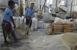Ấn Độ vẫn hỗ trợ các đối tác chiến lược bất chấp lệnh cấm xuất khẩu gạo