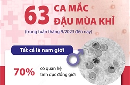 Thành phố Hồ Chí Minh ghi nhận 63 ca mắc đậu mùa khỉ