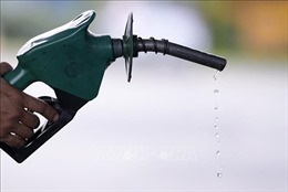 Giá dầu thế giới tăng trở lại sau chuỗi phiên giảm giá liên tục