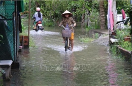 Hậu Giang đề phòng ngập cục bộ do triều cường, mưa dông