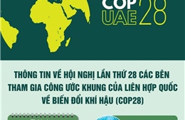 Thông tin về Hội nghị COP28