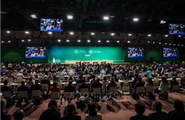 COP28: Hơn 130 quốc gia cam kết lồng sản xuất lương thực vào kế hoạch giảm khí thải
