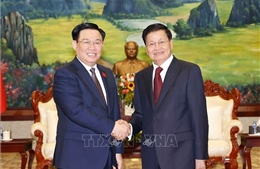 Chủ tịch Quốc hội Vương Đình Huệ hội kiến Tổng Bí thư, Chủ tịch nước CHDCND Lào