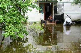 Ấn Độ: Bão Michaung gây lũ lụt nghiêm trọng tại Chennai