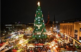 Người dân châu Âu chọn đón Giáng sinh tại nhà để tiết kiệm chi phí