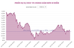 Phiên 18/12/2023: VN-Index giảm hơn 10 điểm 