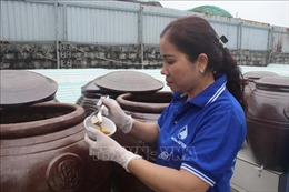 Làng nghề nước mắm nổi tiếng Do Xuyên - Ba Làng tất bật chuẩn bị hàng Tết