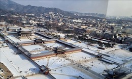 Hàn Quốc cảnh báo tuyết rơi dày tại vùng thủ đô Seoul