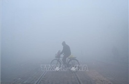 Ấn Độ: Hoãn hàng chục chuyến tàu đến vùng thủ đô vì sương mù dày đặc 