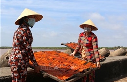 &#39;Thủ phủ&#39; nghề làm hải sản khô Gành Hào vào mùa Tết