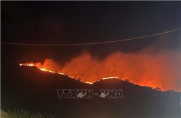 Vụ cháy tại núi Cô Tiên đã được dập tắt hoàn toàn