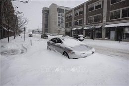 Mỹ: Hàng trăm nghìn người bị mất điện do bão tuyết