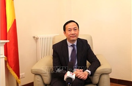 Đại sứ Dương Hải Hưng: Cơ sở thuận lợi cho tăng cường hợp tác giữa Việt Nam - Malta
