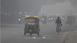 Ấn Độ đứng đầu thế giới về mức ô nhiễm không khí trong nhà
