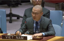 Việt Nam tiếp tục kêu gọi ngừng bắn tại Gaza