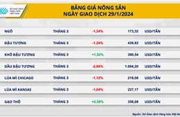 Năng lượng dẫn dắt xu hướng thị trường hàng hóa 