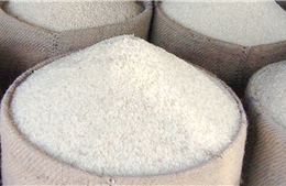 Hàn Quốc phát triển gạo bổ sung đạm từ thịt nuôi cấy
