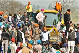 Nông dân Ấn Độ tiếp tục biểu tình