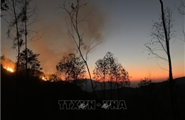 Kịp thời dập tắt ba vụ cháy rừng ở huyện Mù Cang Chải