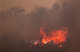 Cháy rừng lan rộng ở miền Bắc Thái Lan