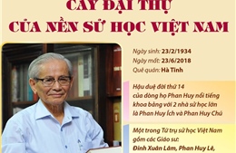 Giáo sư Phan Huy Lê: Cây đại thụ của nền sử học Việt Nam