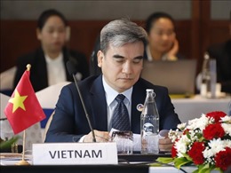 Việt Nam đánh giá cao các ưu tiên của Cộng đồng Văn hóa - Xã hội ASEAN trong năm 2024