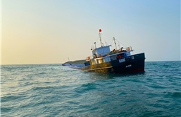 Tập trung xử lý sự cố tàu vận tải chìm tại vùng biển Cù Lao Chàm
