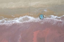 Nước biển có vệt màu đỏ ở Hà Tĩnh là do tảo nở hoa