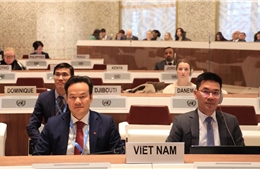 Việt Nam kêu gọi các bên thực hiện nghĩa vụ bảo vệ người dân trong xung đột