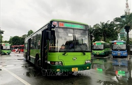 TP Hồ Chí Minh sẽ có hơn 200 xe buýt mới phục vụ từ ngày 1/4