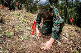 Việt Nam hướng tới mục tiêu không còn thương vong do tai nạn bom mìn