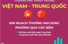Thương mại song phương Việt Nam - Trung Quốc