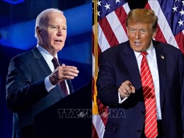 Thăm dò bầu cử Mỹ: Tổng thống J. Biden và đối thủ D. Trump so kè từng điểm