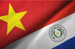 Paraguay mong muốn mở rộng hợp tác kinh tế với Việt Nam